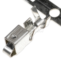 SVH-21T-P1.1