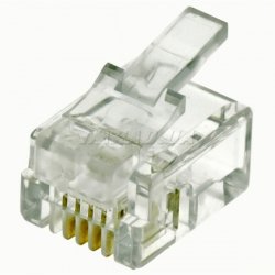 RJ11W